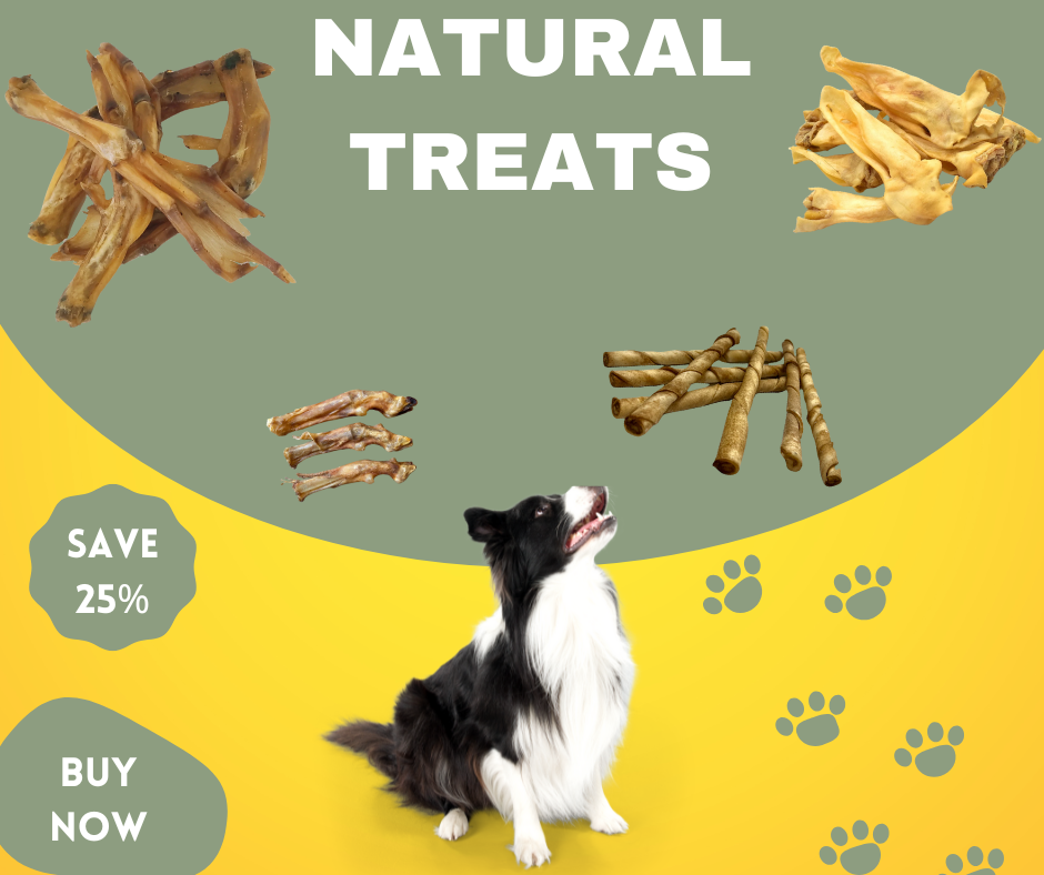 The Mega Treat Box | 70 Pieces