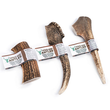 Deer Antlers Dog Chew